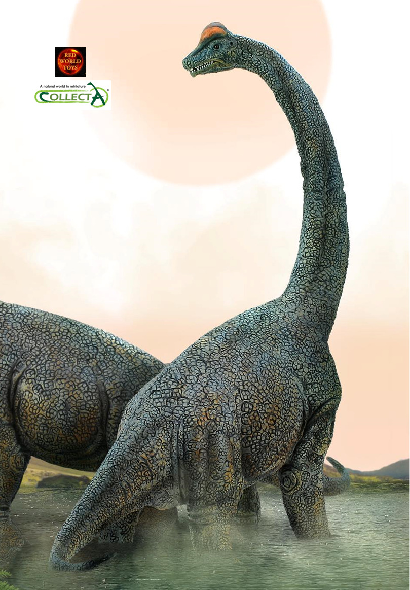 Brachiosaurus Dinosaur Large Deluxe Toy Model Figure by CollectA 88405 New
