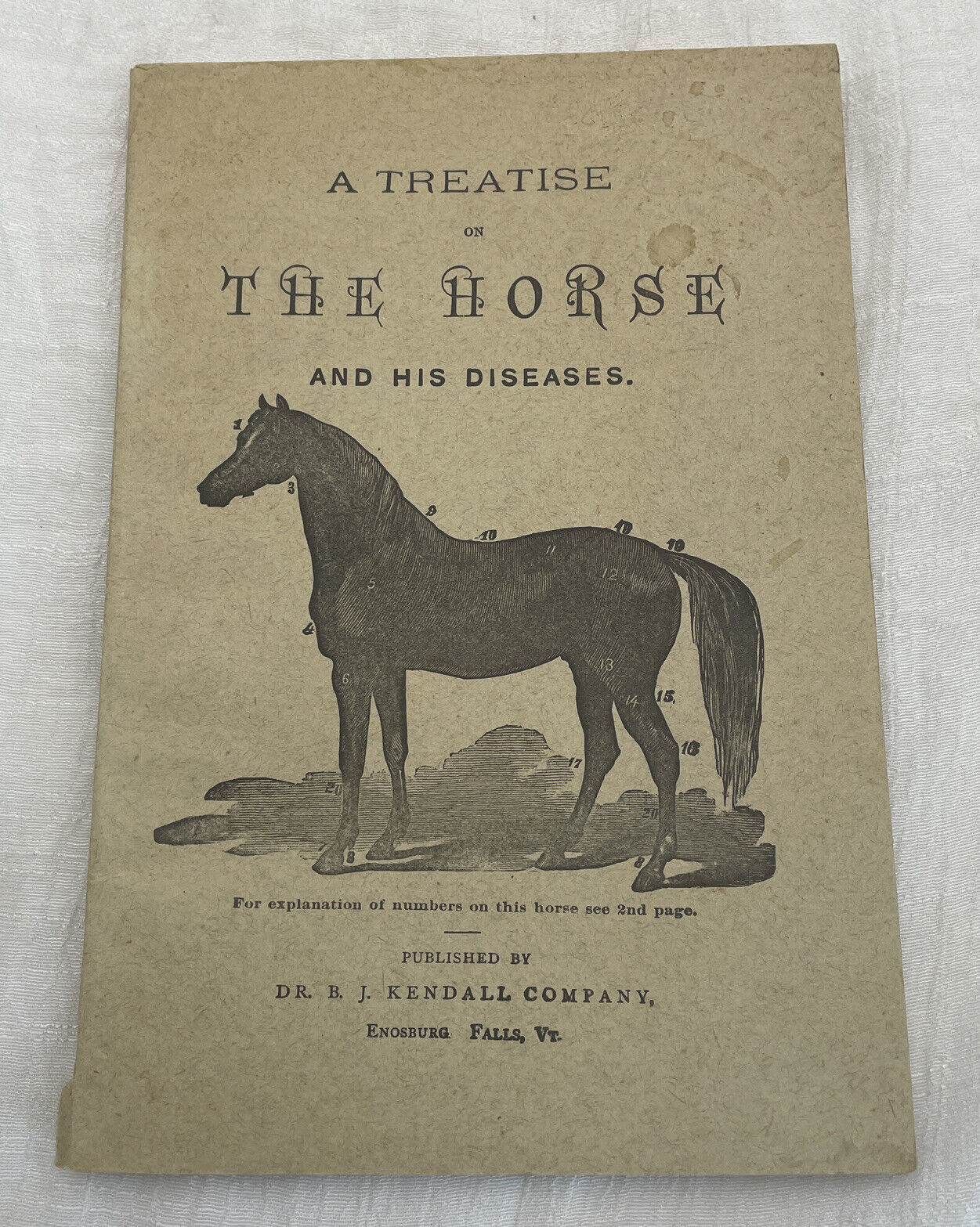 A Treatise of the Horse & His Diseases Dr BJ Kendall Co. 1915 Vintage Book