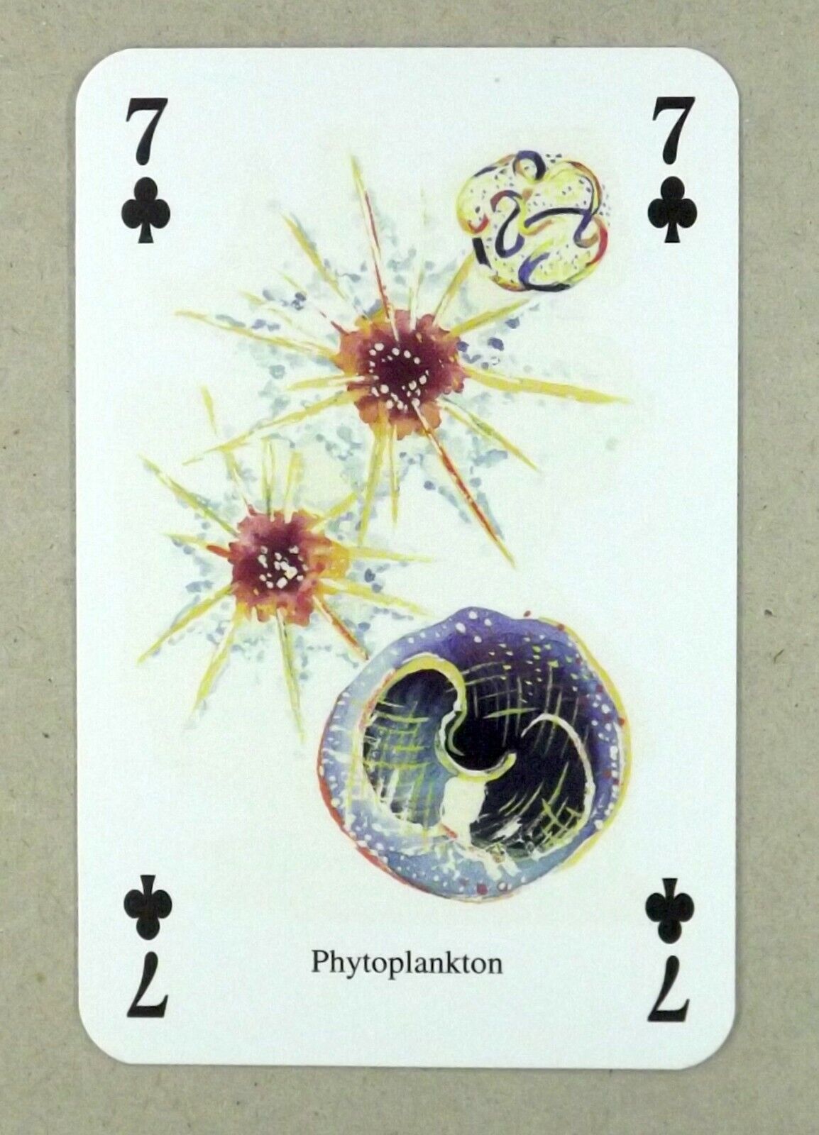 1 x playing card ≠ Phytoplankton ≠ 7 of Clubs ≠ Q7