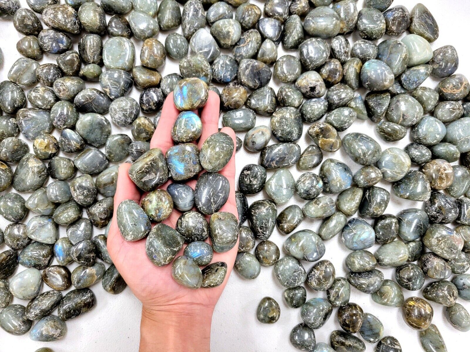Tumbled Labradorite Crystal Stones - 3/4 inch to 1.5 inch - Bulk Natural Gems