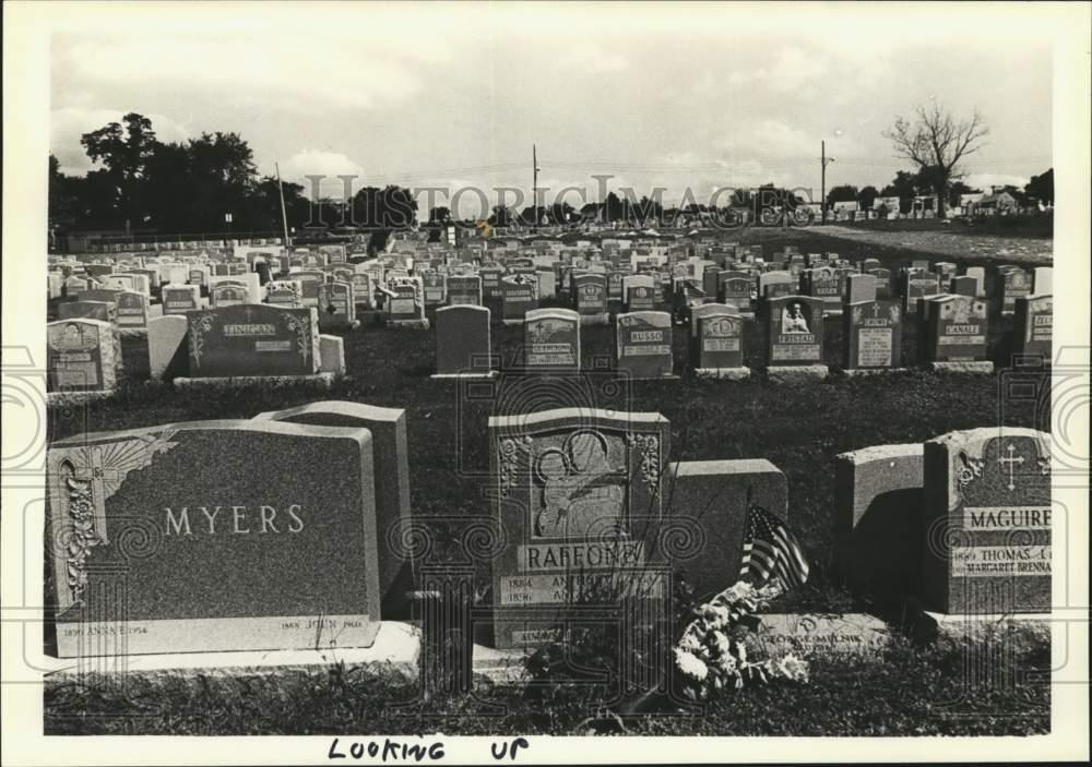 1979 Press Photo Headstones at St. Peter\'s Cemetery - sia04273