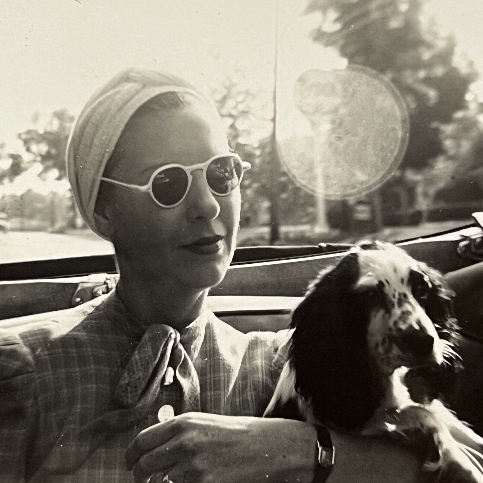 Vintage B&W Snapshot Photograph Beautiful Woman In Sunglasses In Car With Dog