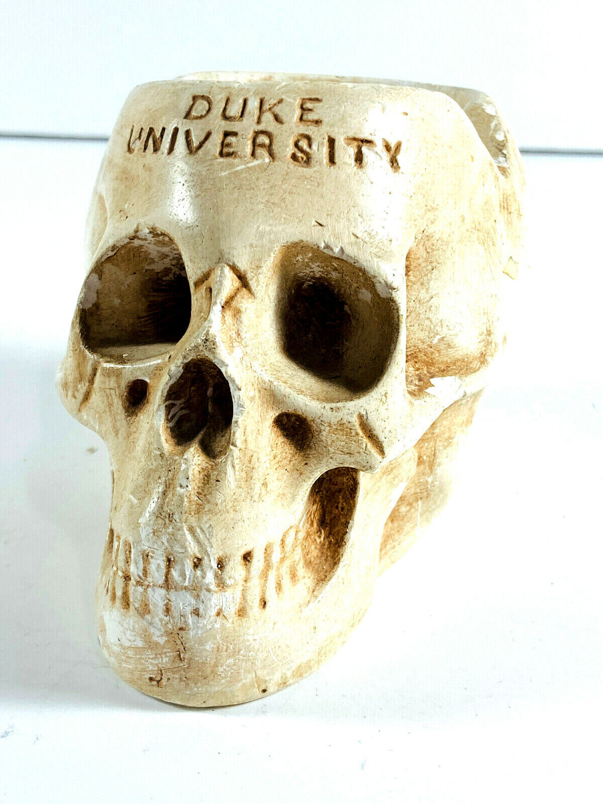 Antique chalkware Skull Ashtray Duke University medical school secret society