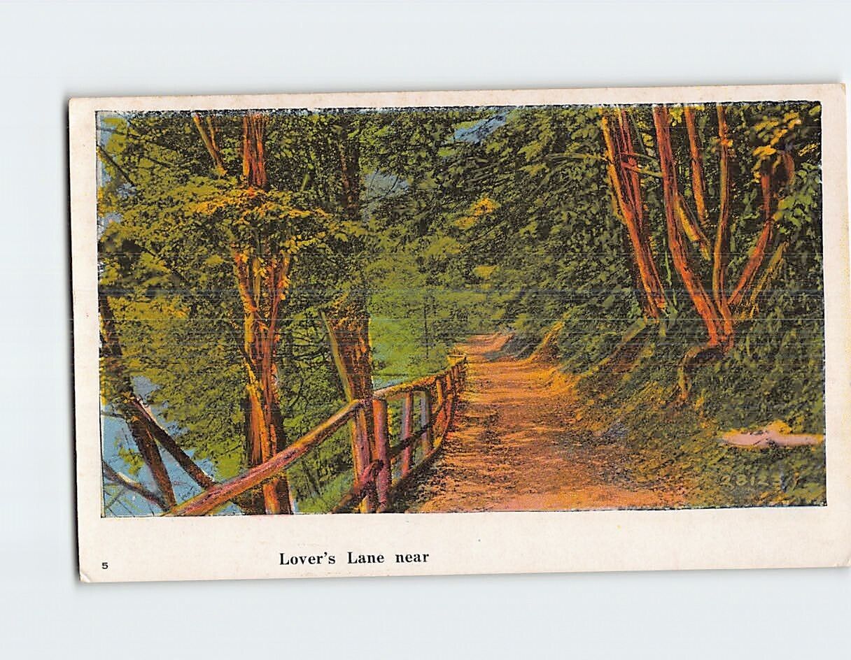 Postcard Lover's Lane Forest Road Picturesque Scene