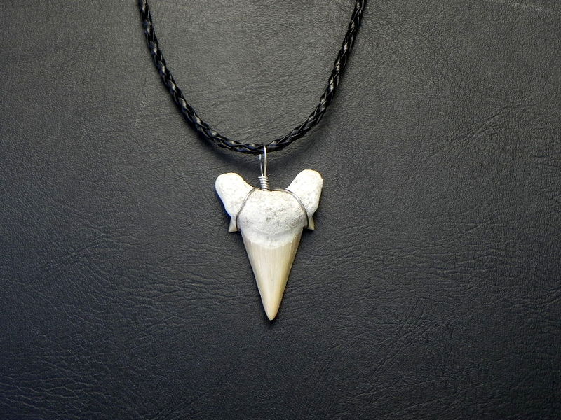 Black Braided off white tan OTODUS Great REAL LG Fossil Shark Tooth Necklace