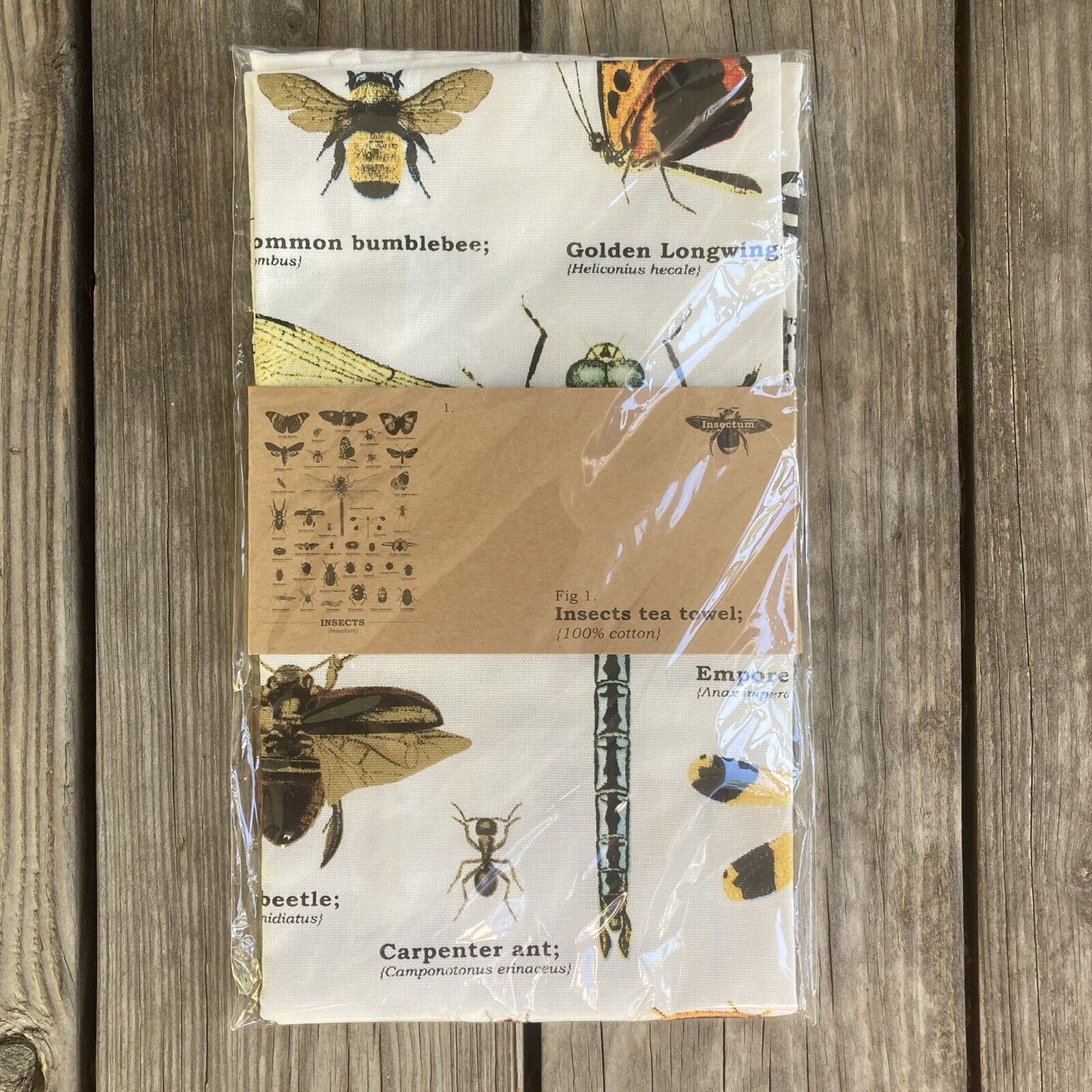 New Gift Republic London England Biodiversity Library Insect Kitchen Tea Towel