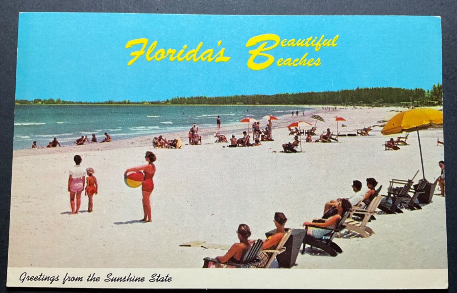Florida FL Postcard Greeting from the sunshine state unposted