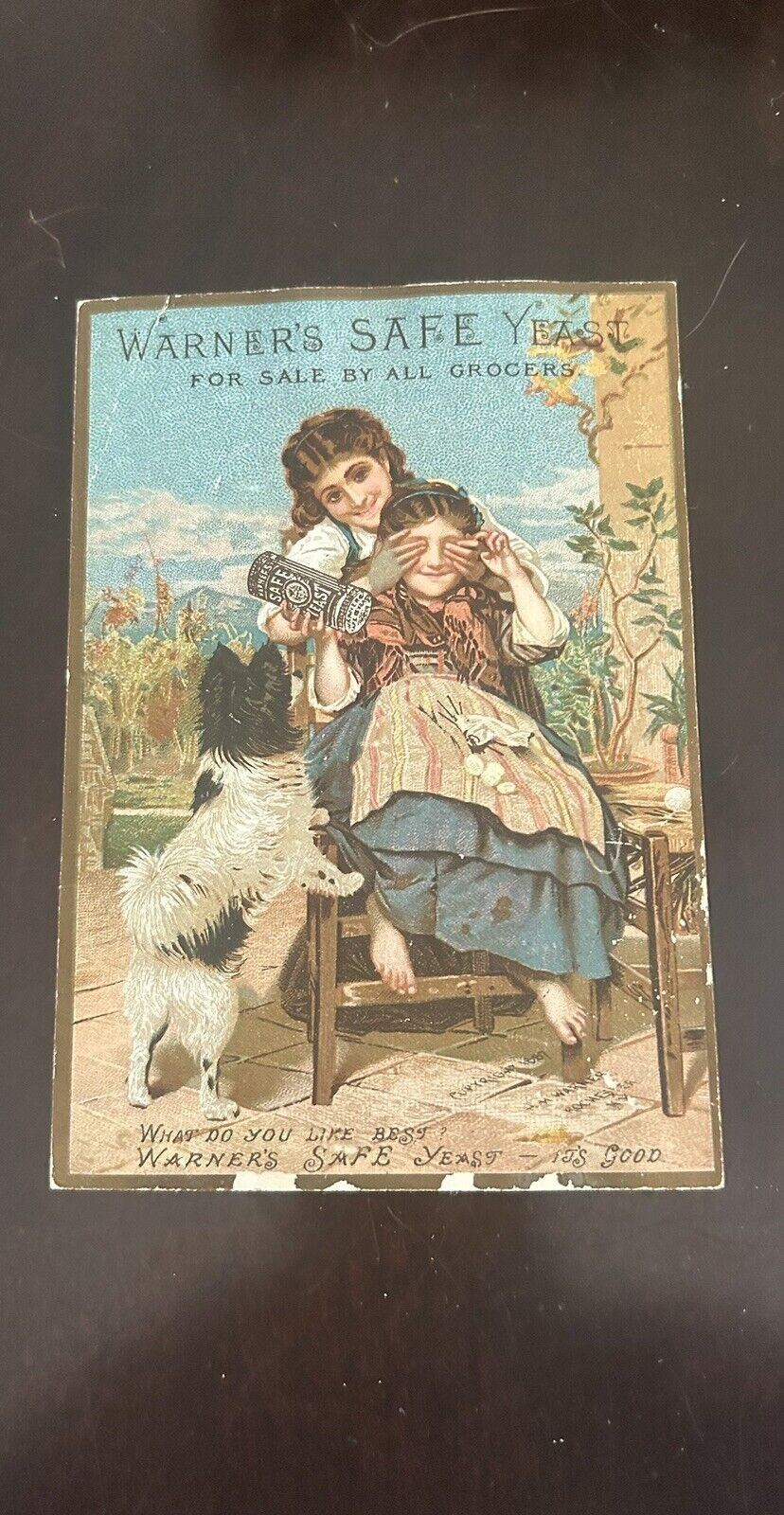 Advertising Trade Card Warner’s Yeast Black & White SPiTZ Dog, Girl, Old Woman