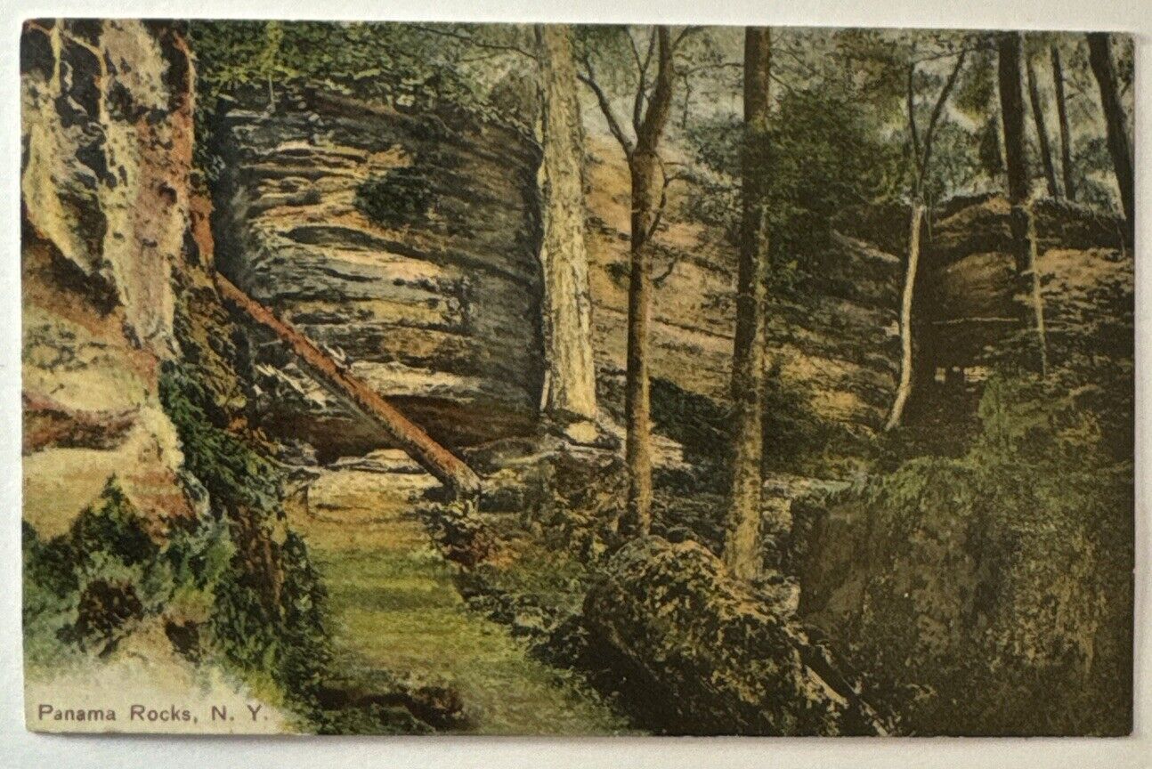 Vintage Postcard, Panama Rocks, Trail, Panama NY, Divided Back, Unused
