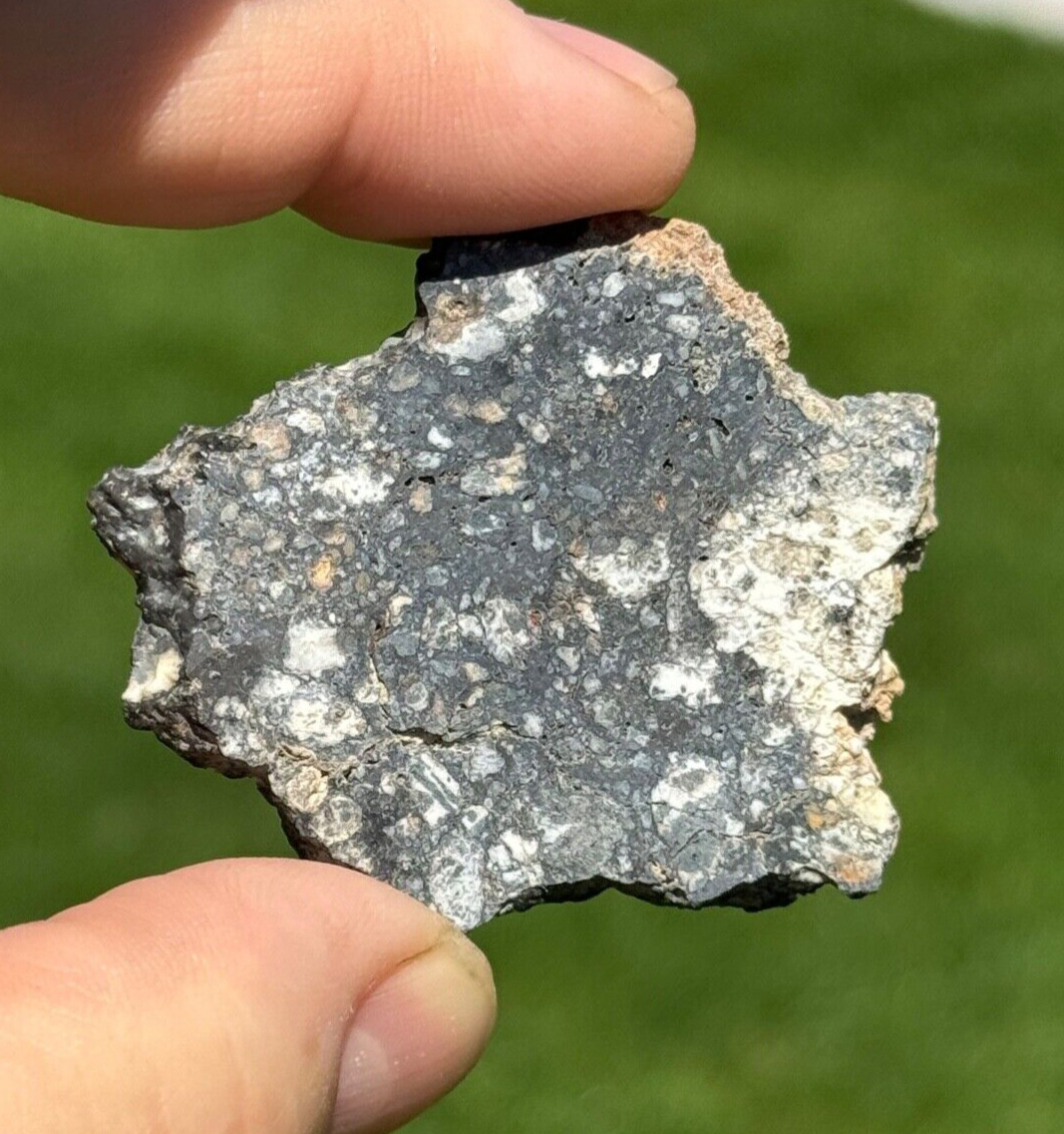 Aubrite Meteorite  19g  NWA 15304  RARE/STUNNING AUBRITE *From Planet Mercury?