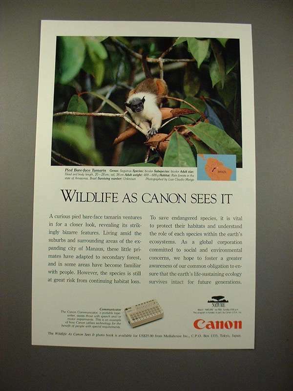 1994 Canon Communicator Ad w/ Pied Bare-face Tamarin