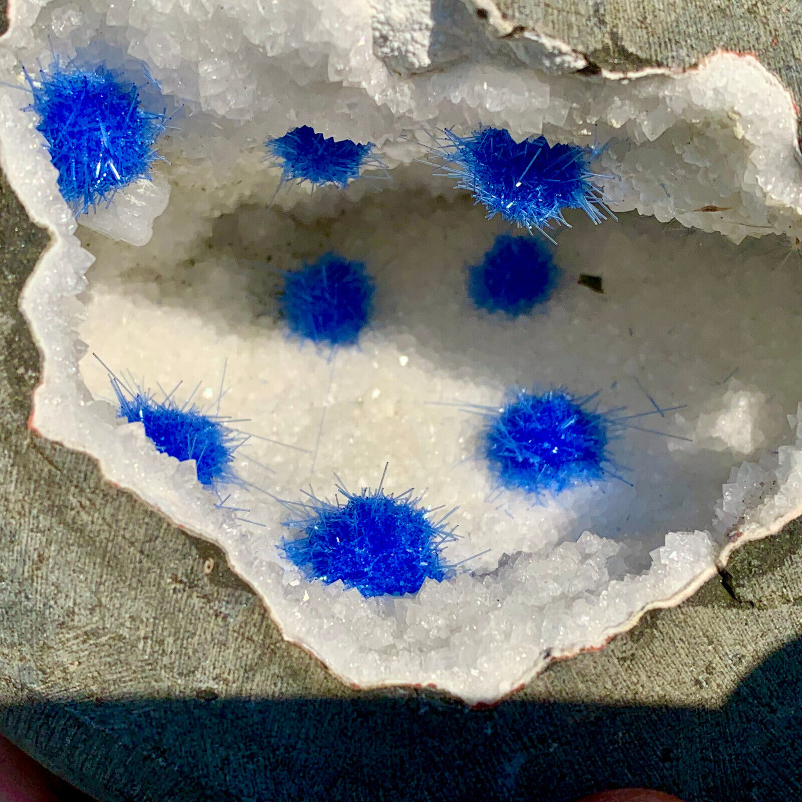 6.03LB Rare Moroccan blue magnesite and quartz crystal coexisting specimen