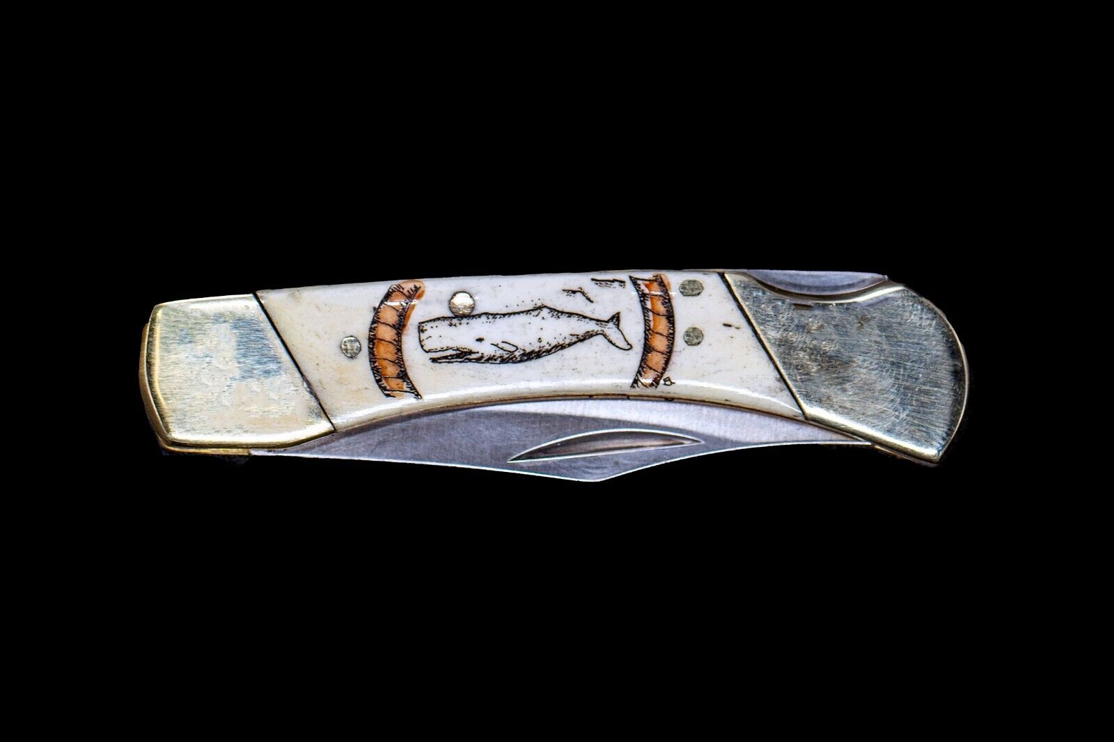 Etched Sperm Whale Design Colored Scrimshaw Collection Large Pocket Knife 