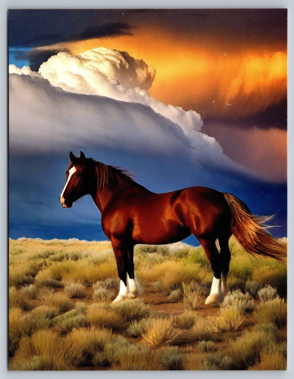 Art Postcard Wild Mustang \
