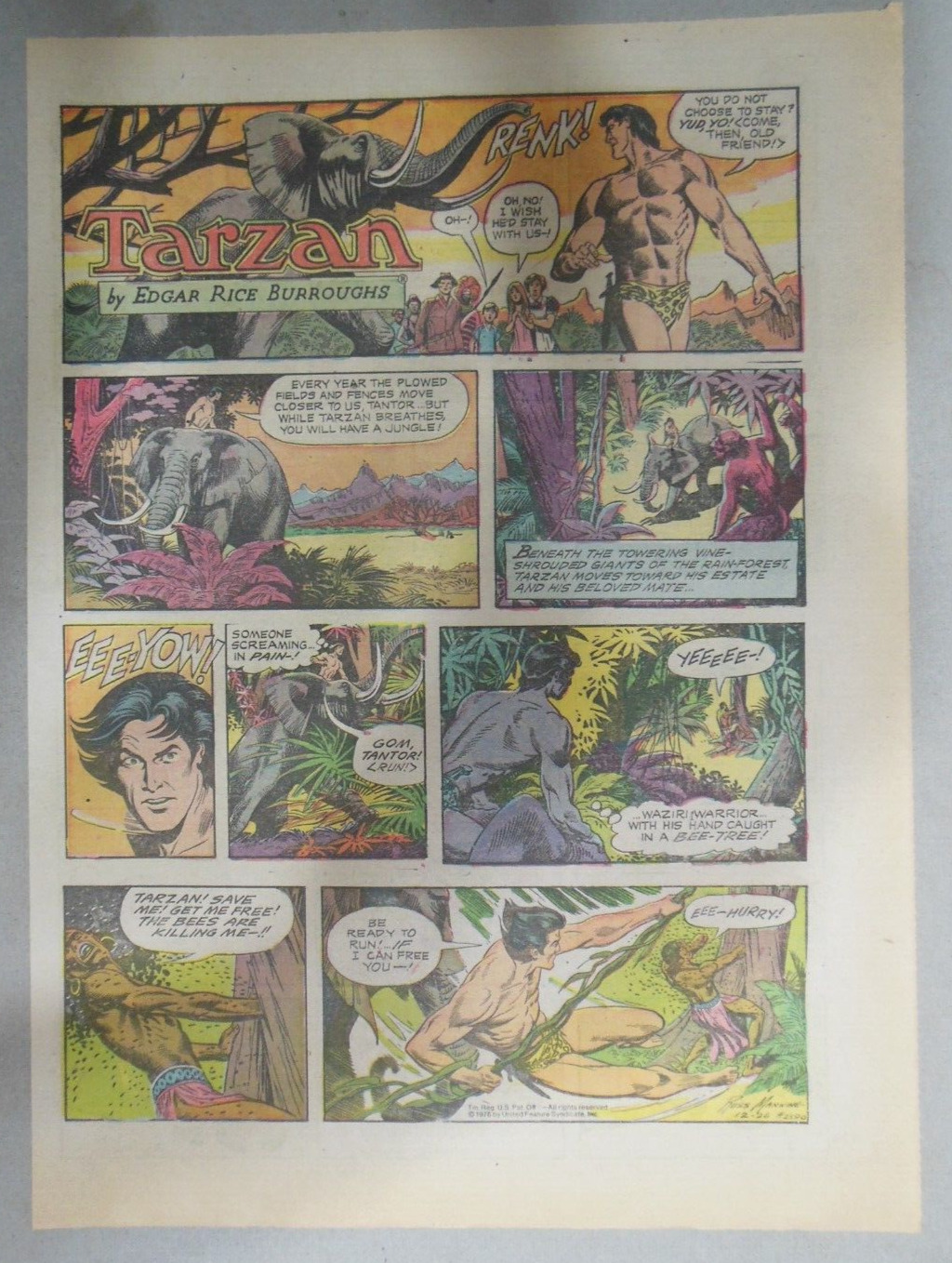 (42/52) Tarzan Sunday Pages  by Russ Manning from 1976 All Tabloid Page Size