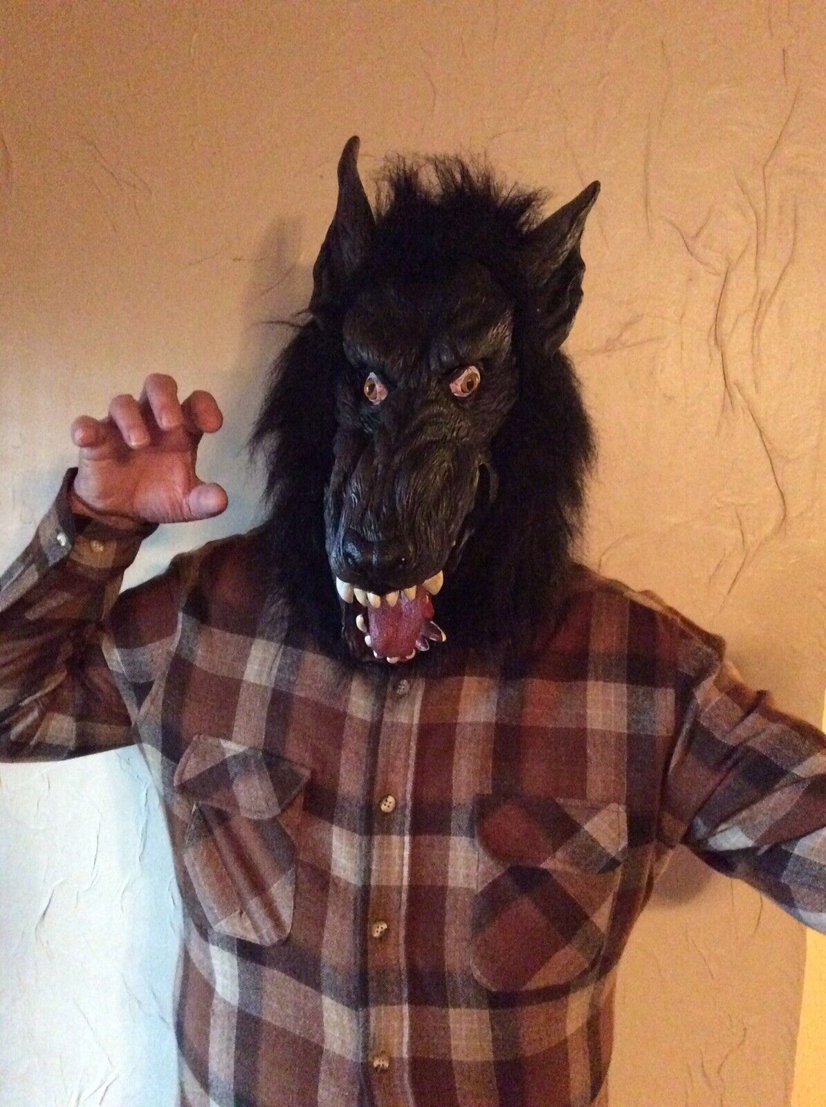 Werewolf Halloween Mask Adult Size Latex and Faux Fur
