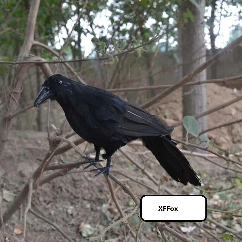 big simulation black crow model foam&feathers bird doll gift about 30cm
