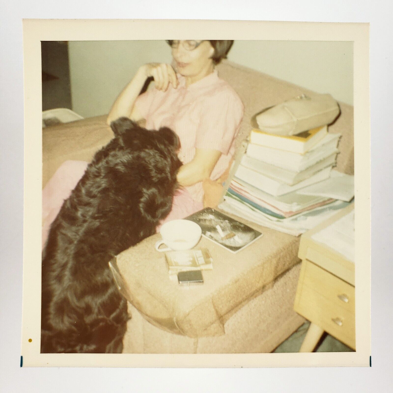 Dog Cuddling Armchair Lady Photo 1960s Stack of Books Cocaine Mirror Pet A4267