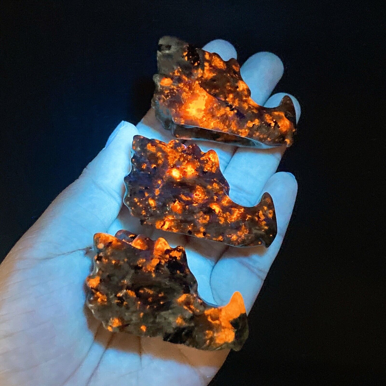 1pc Natural Yooperlite Dragon Head Crystal Quartz Raw Stone Fluoresce Sodalite