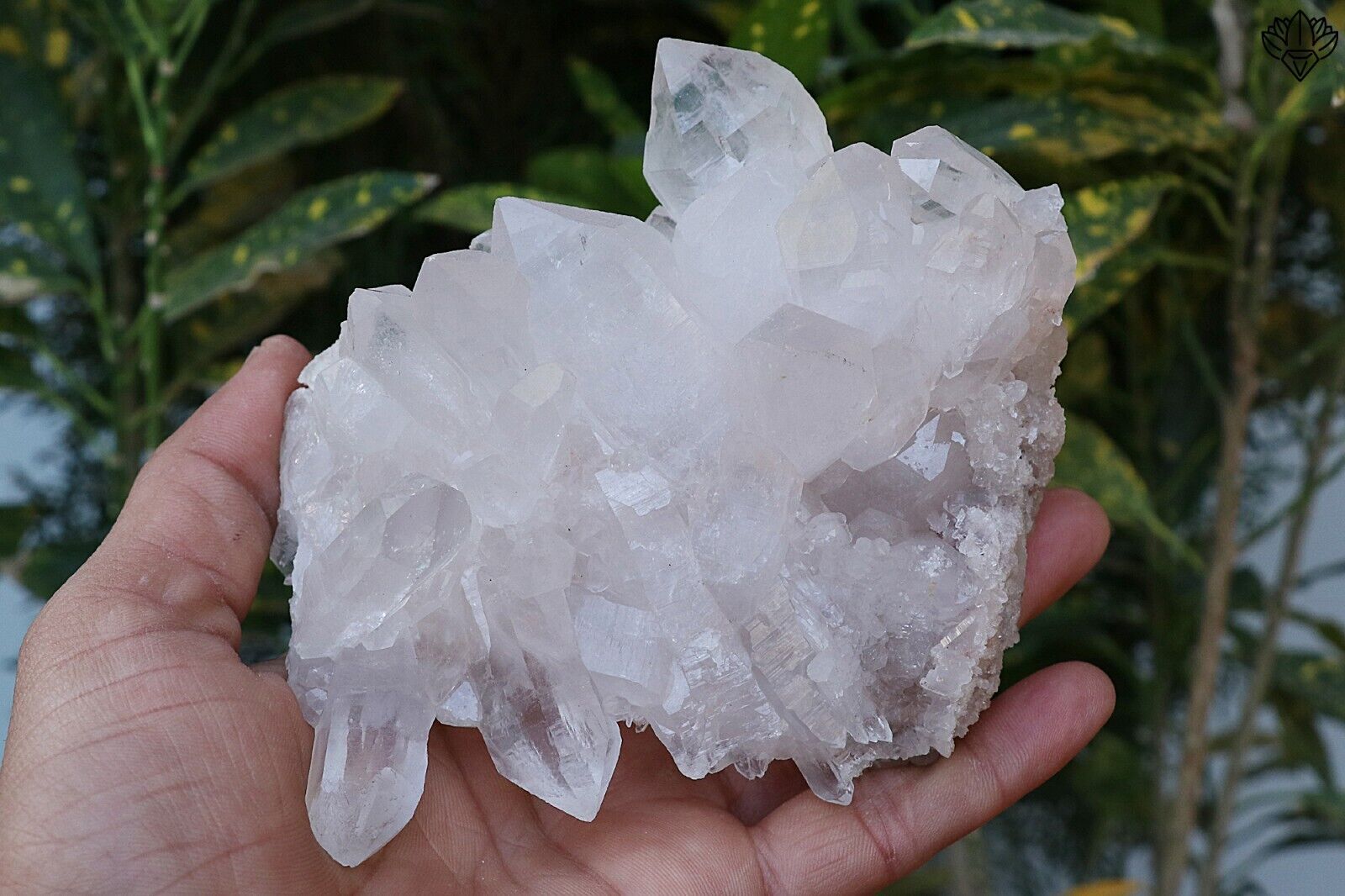 White Crystal quartz Cluster 692 gm Himalayan Crystal Natural Stone Raw Specimen