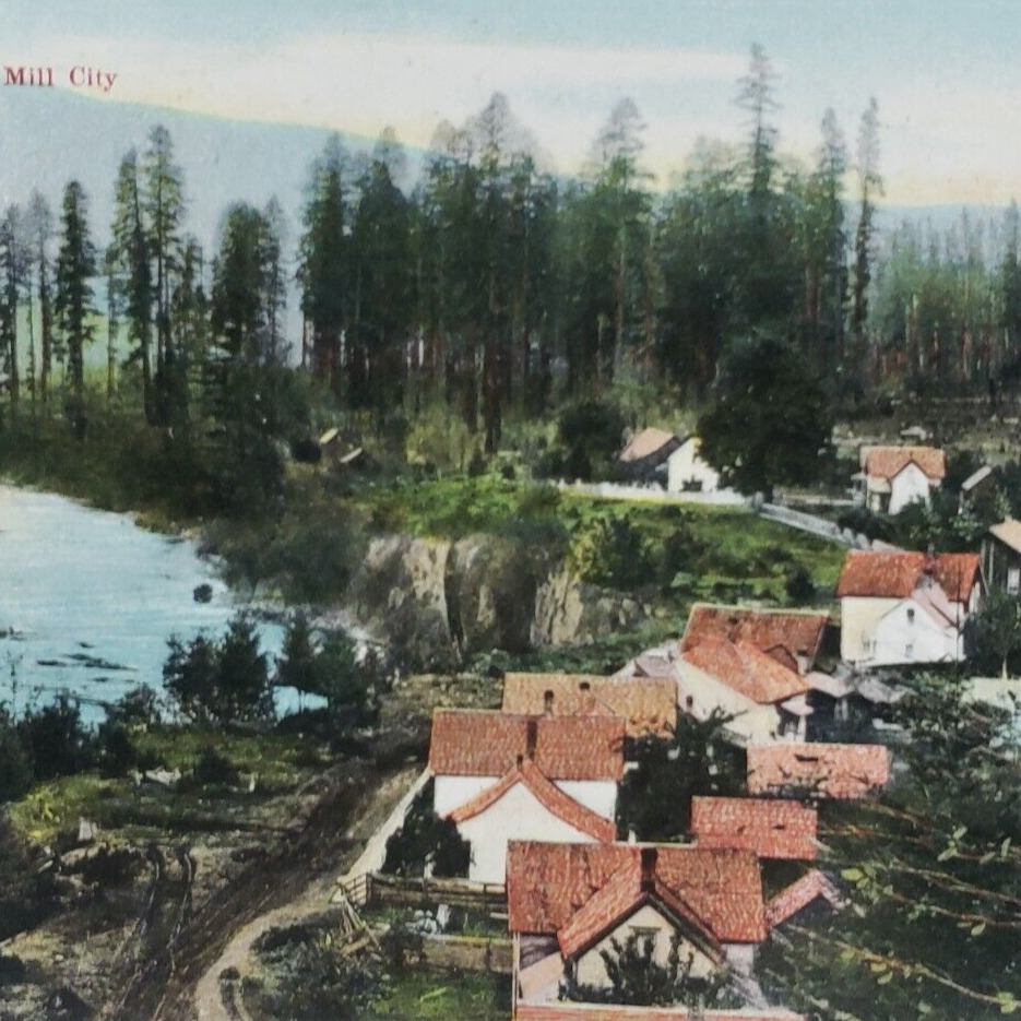 North Santiam River Mill City Oregon Postcard c1912 Vintage Antique Old F346