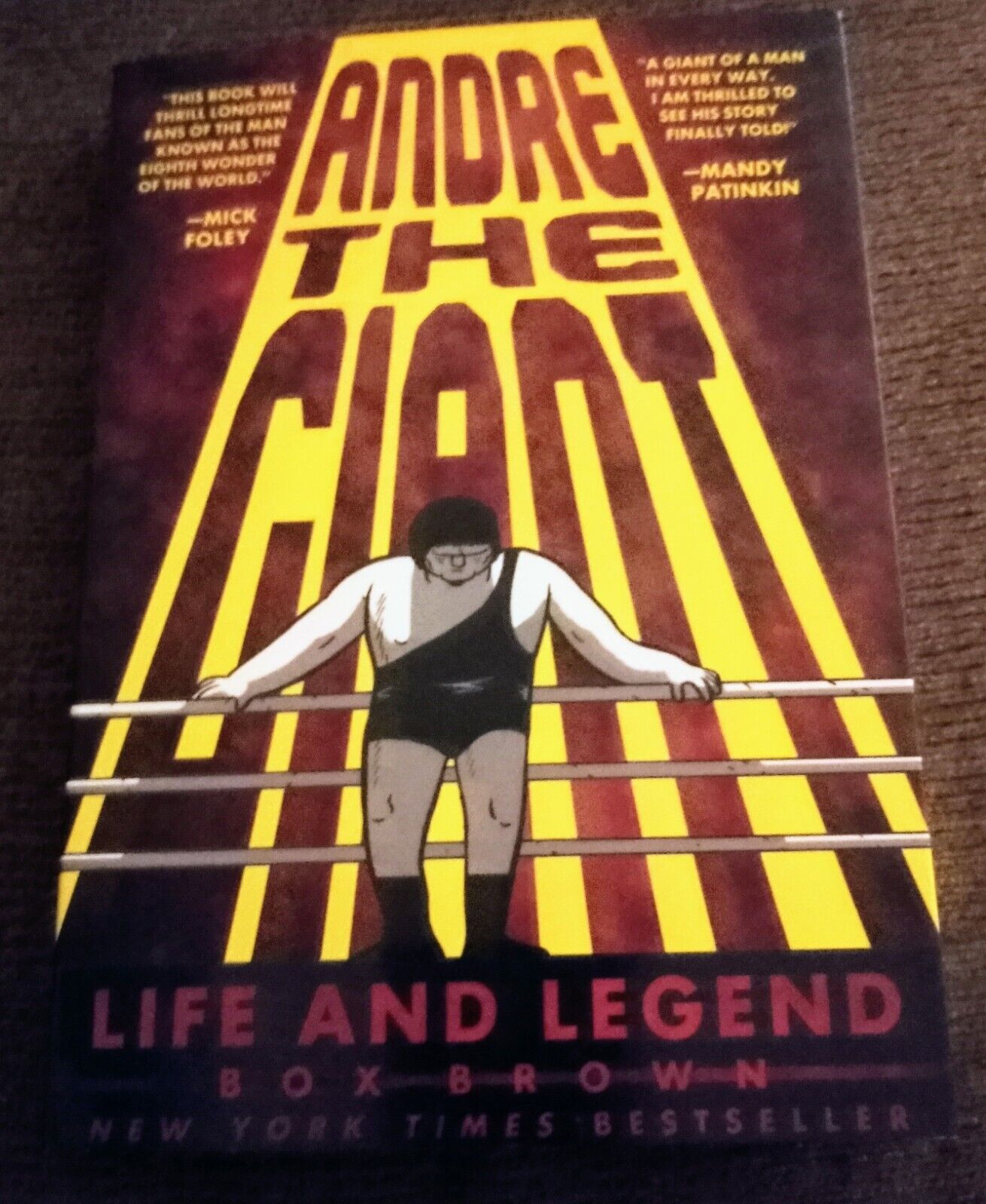 BRAND NEW Andre The Giant by Box Brown and Brian Brown (2014, Trade Paperback)
