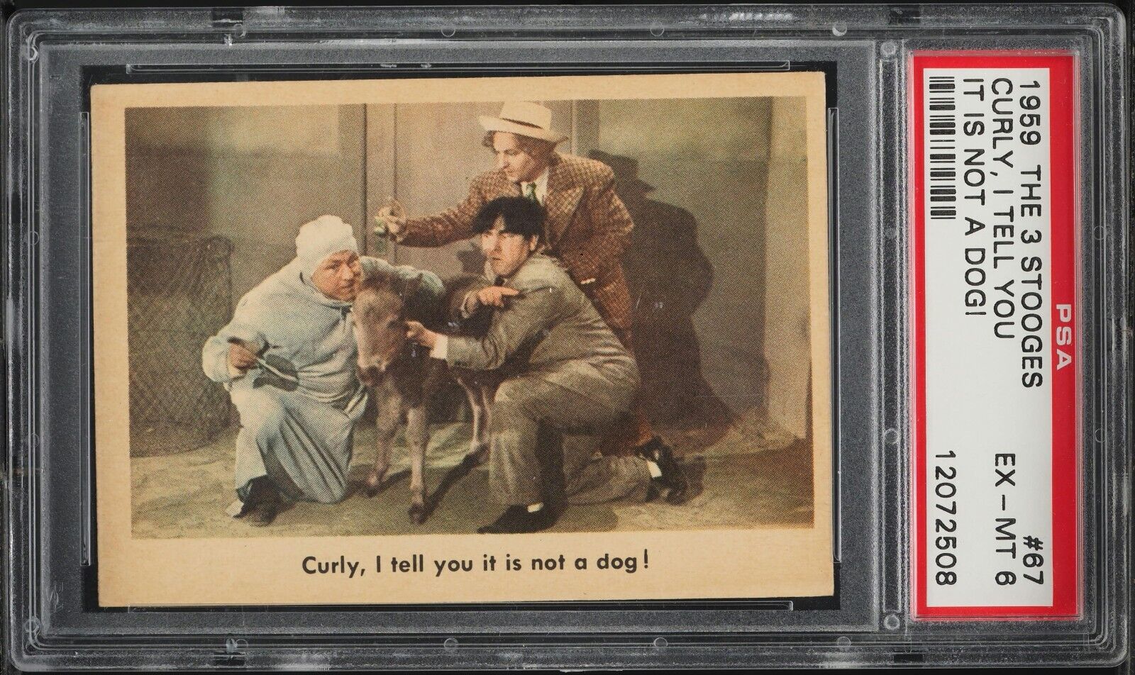 1959 Fleer The 3 Three Stooges Curly, I Tell You It Is Not A Dog #67 PSA 6