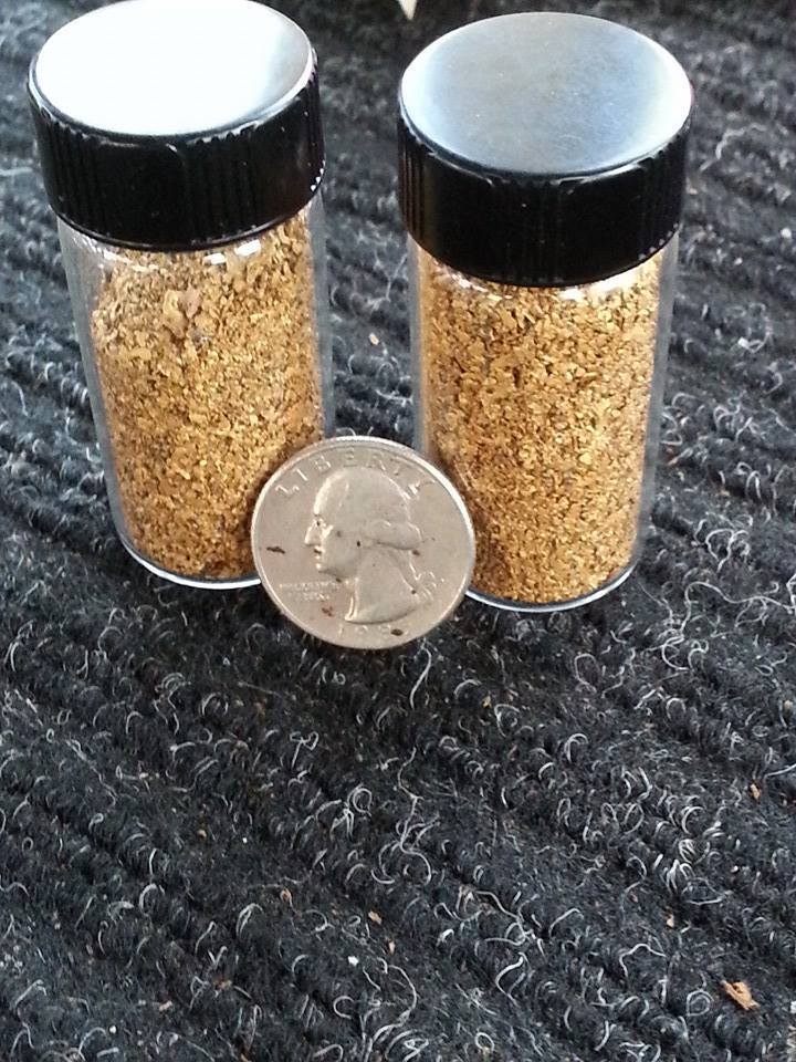 Buy our best rich GOLD paydirt concentrates by the 1/4 Pound Nuggets Pay Dirt