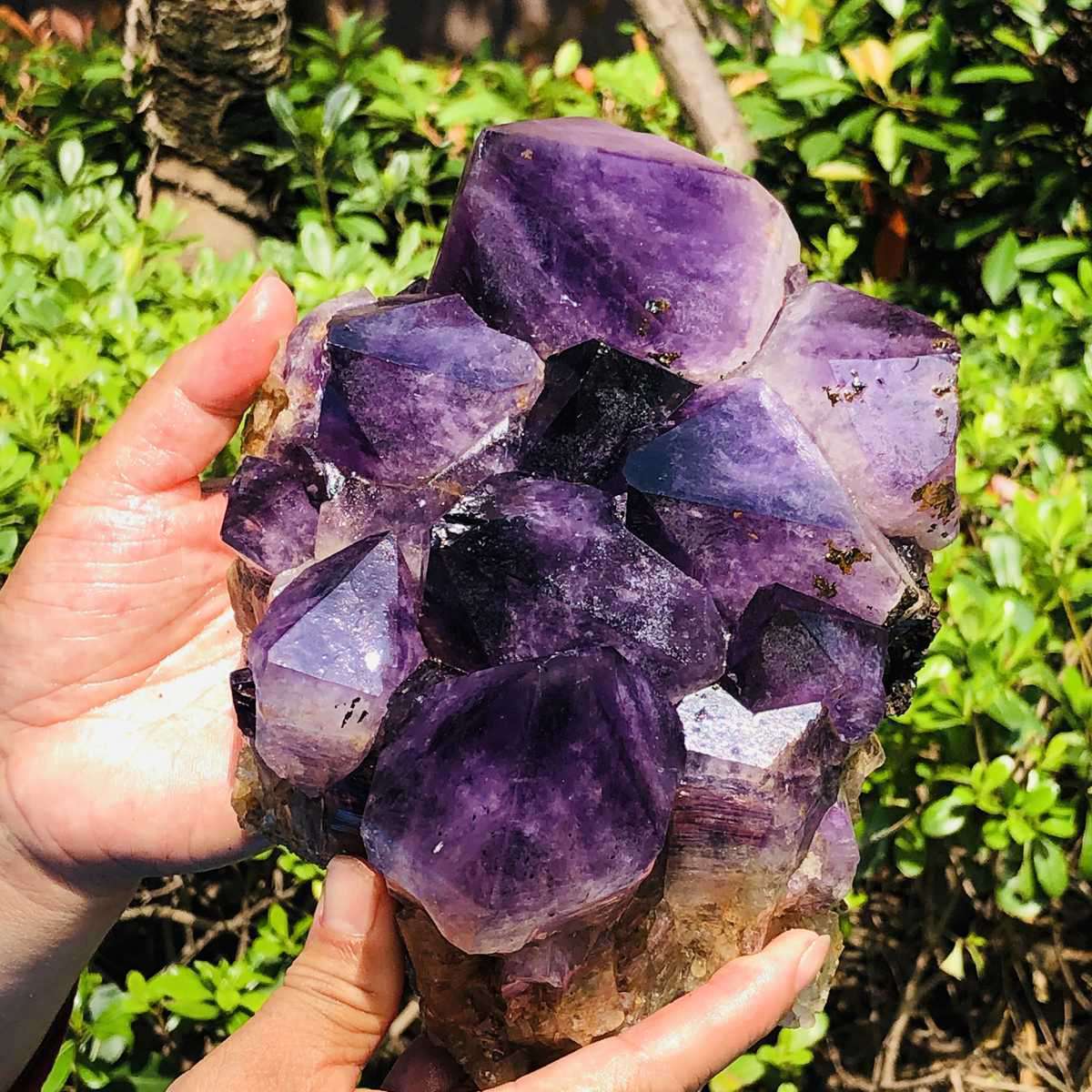 3400G Natural Amethyst Cluster Purple Quartz Crystal Rare Mineral Specimen
