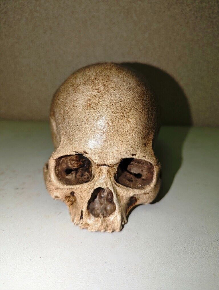Human Skull Upper Section 3D Printed Novelty