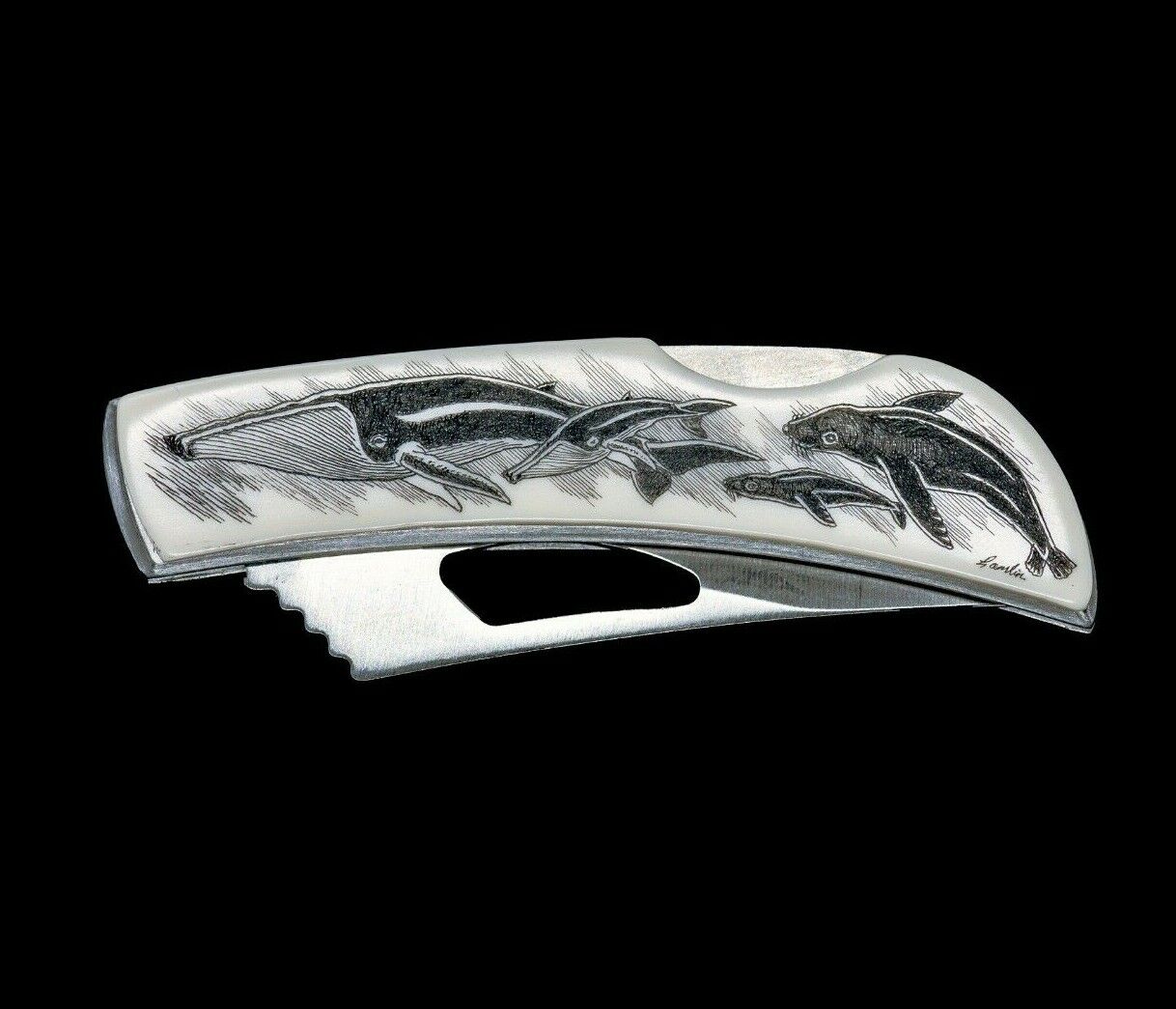 Etched Humpback Whale and Calf Stainless Steel Silver Hawk Knife Seal