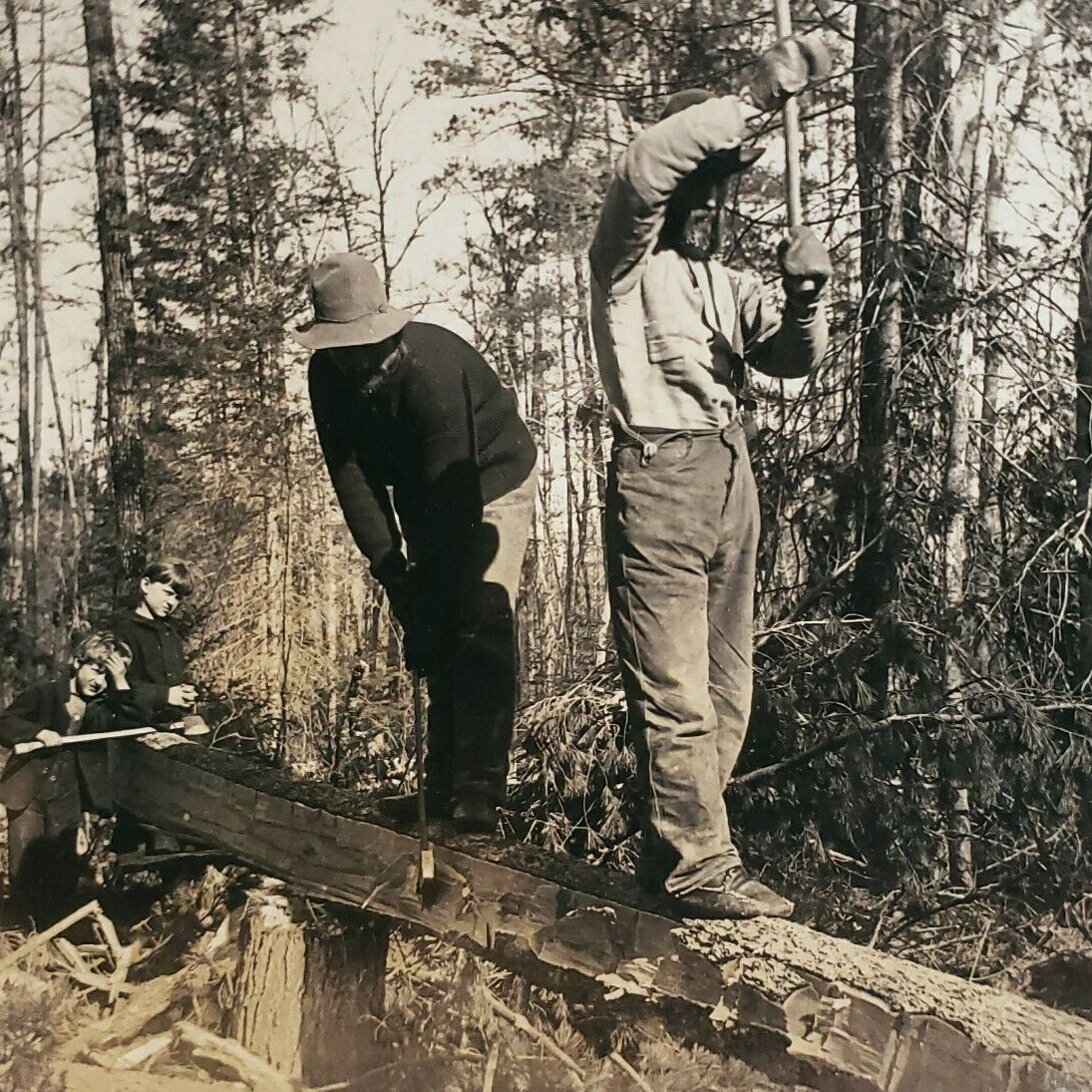 Minnesota Lumberjacks Hewing Tree Stereoview 1920s Logging Forest Keystone D451