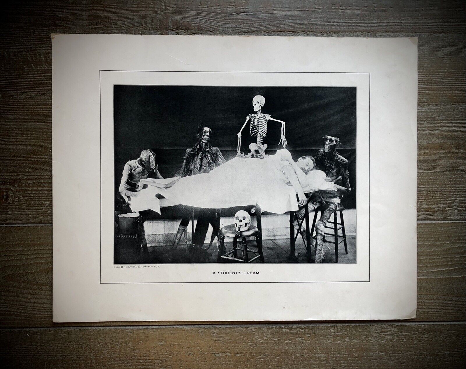 Antique Early 1900s Dissection Cadavers Anatomy Skull Skeleton Creepy VTG Rare