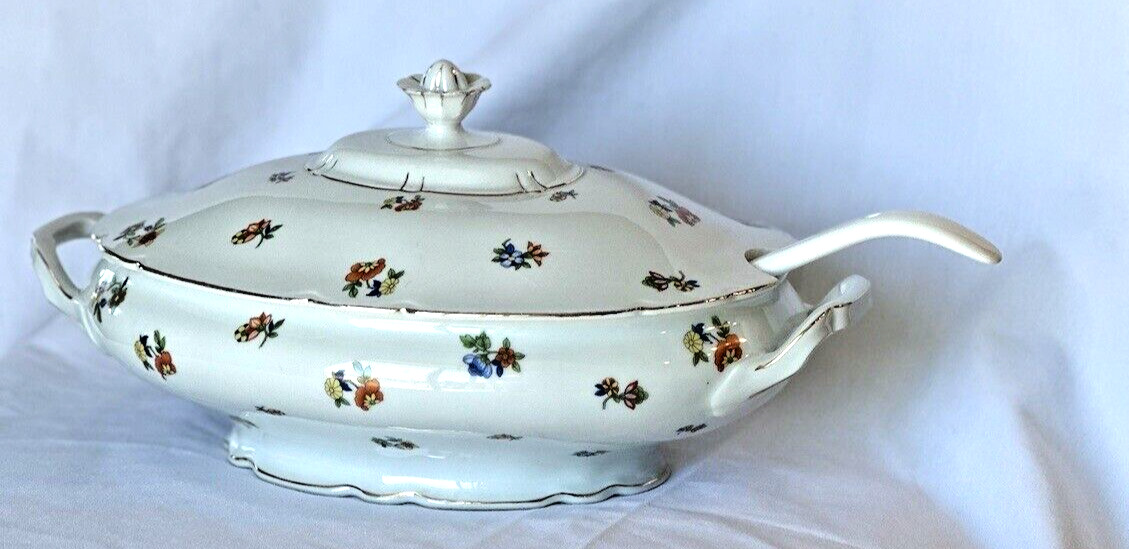 Antique Porcelain Transferware Tureen with ladle, C. 1900\'s Oval Casserole Dish