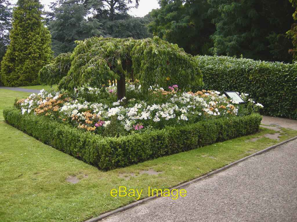 Photo 6x4 Formal Garden Ewell One of the many attractive borders, althoug c2021