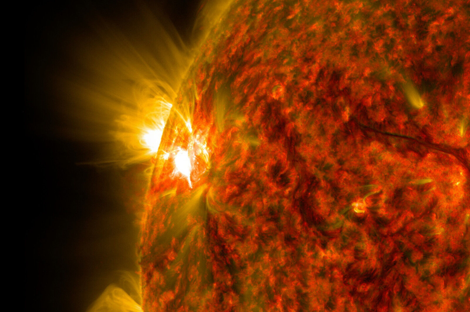 NASA's Solar Dynamics Observatory Captures Intense Solar Flare - 8x12 Photo