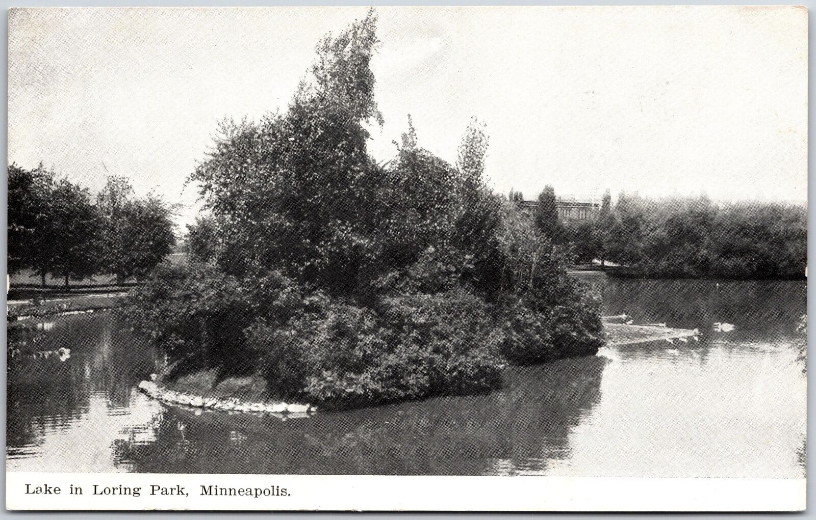 Lake in Loring Park Minneapolis Minnesota MN Beautiful Landscape Postcard