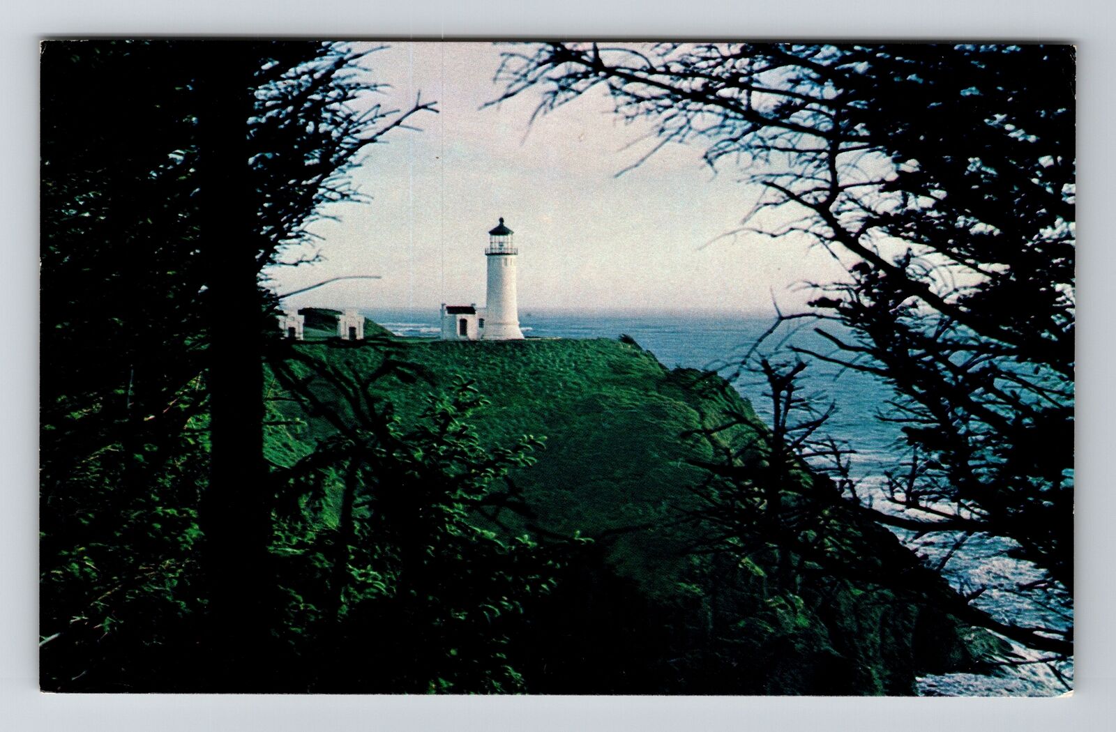 North Head, Scenic View Lighthouse, Vintage Postcard