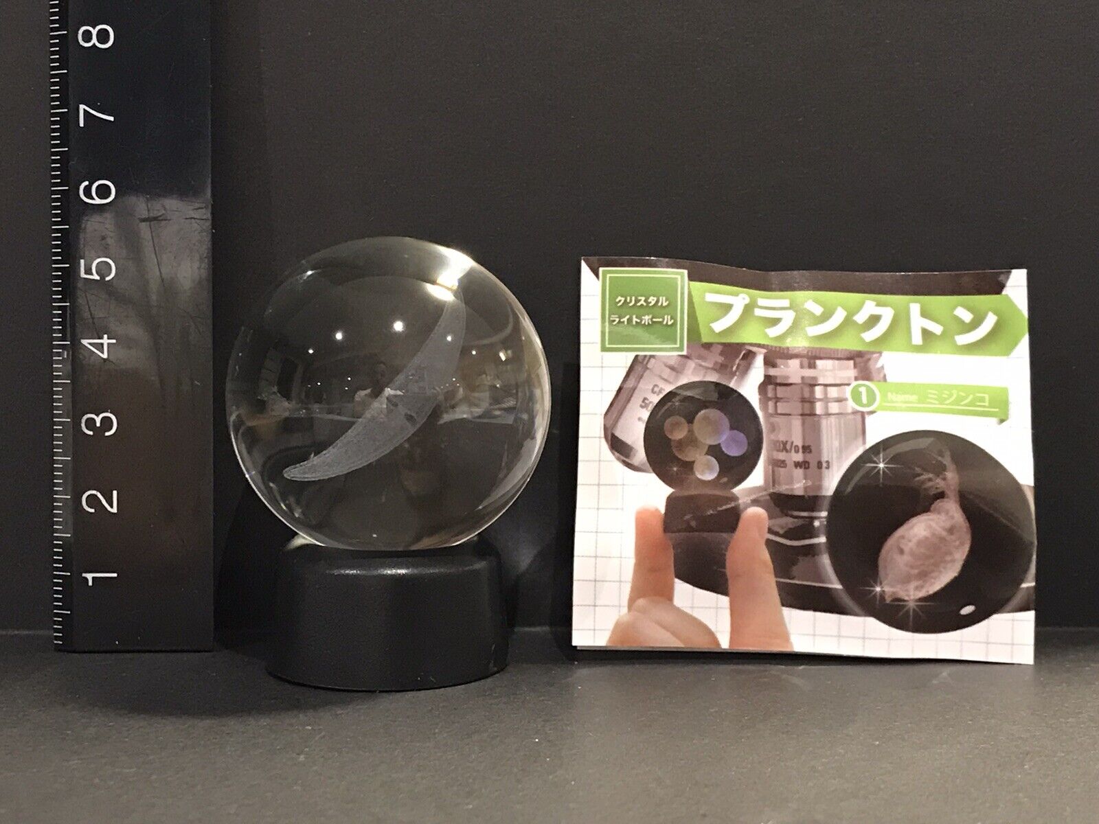 SO-TA Kaiyodo Japan Exclusive Microcosmos Closterium Algae Light-Up Globe Figure