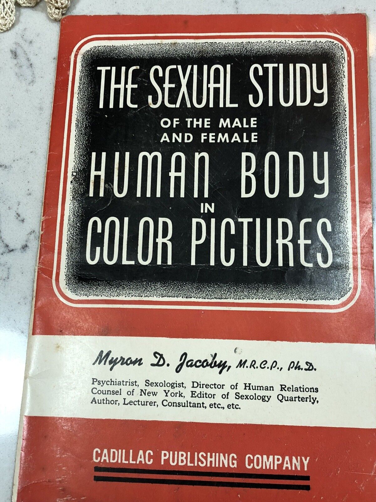 Vintage Sexuality Pamphlet 1942 Myron Jacoby Sexual Study  Sexology