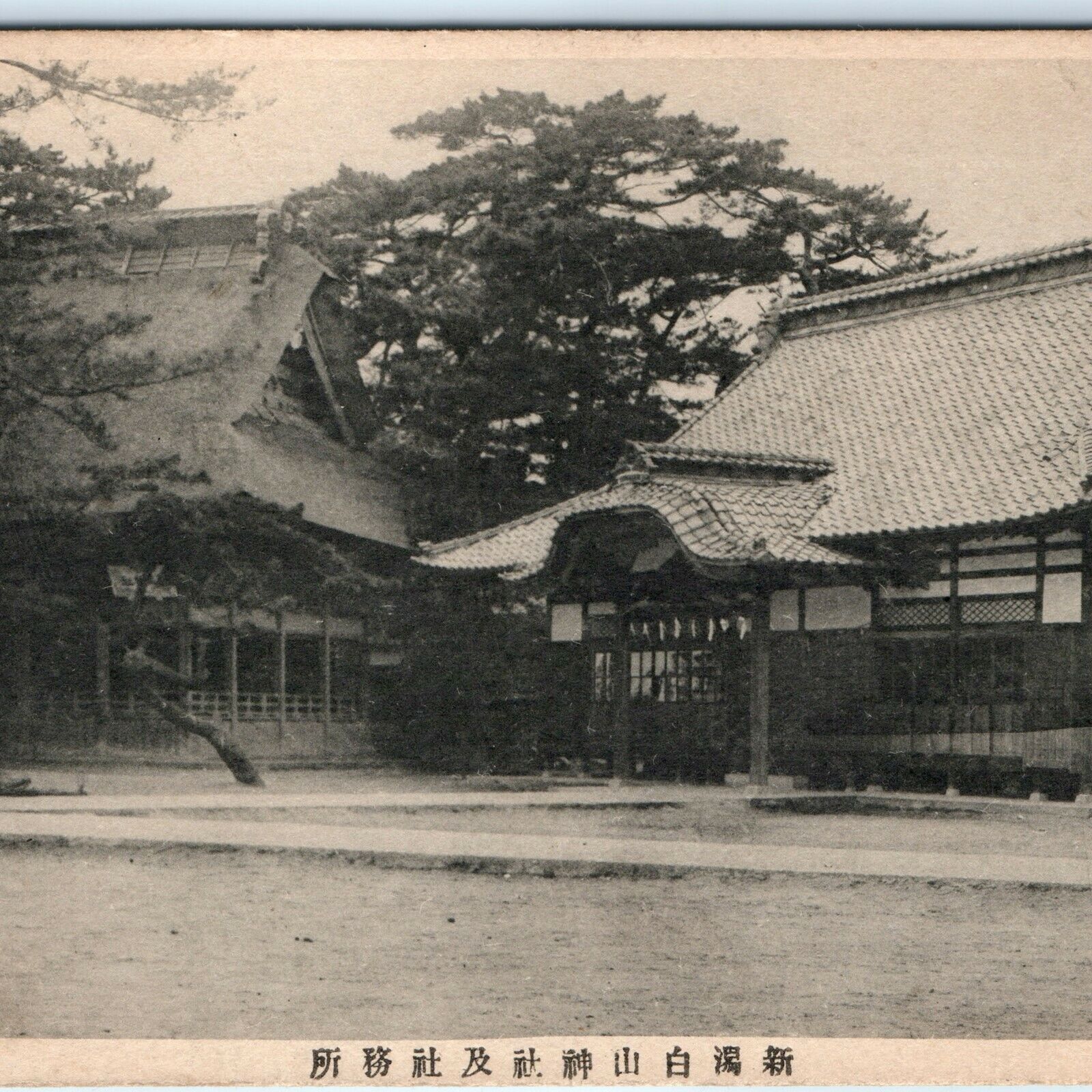 c1910s Rare Unknown Japan Shinyu Hakusan Shrine & Office Collotype Photo PC A57