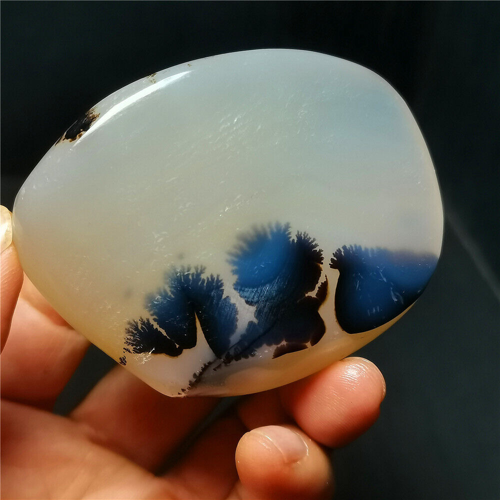 TOP 116 G Natural Polished Aquatic Plants Agate Crystal Madagascar BY386