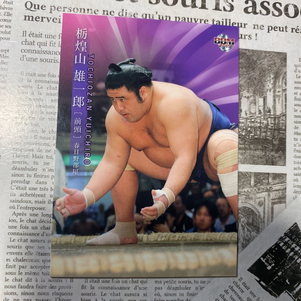 2019Bbm 13 Yuichiro Tochikoyama Sumo Card