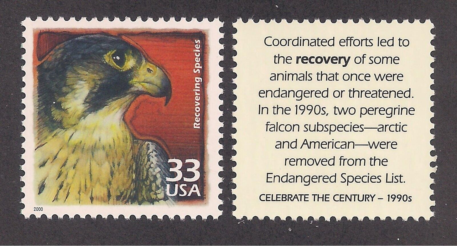 ENDANGERED SPECIES - PEREGRINE FALCON - U.S. POSTAGE STAMP - MINT CONDITION