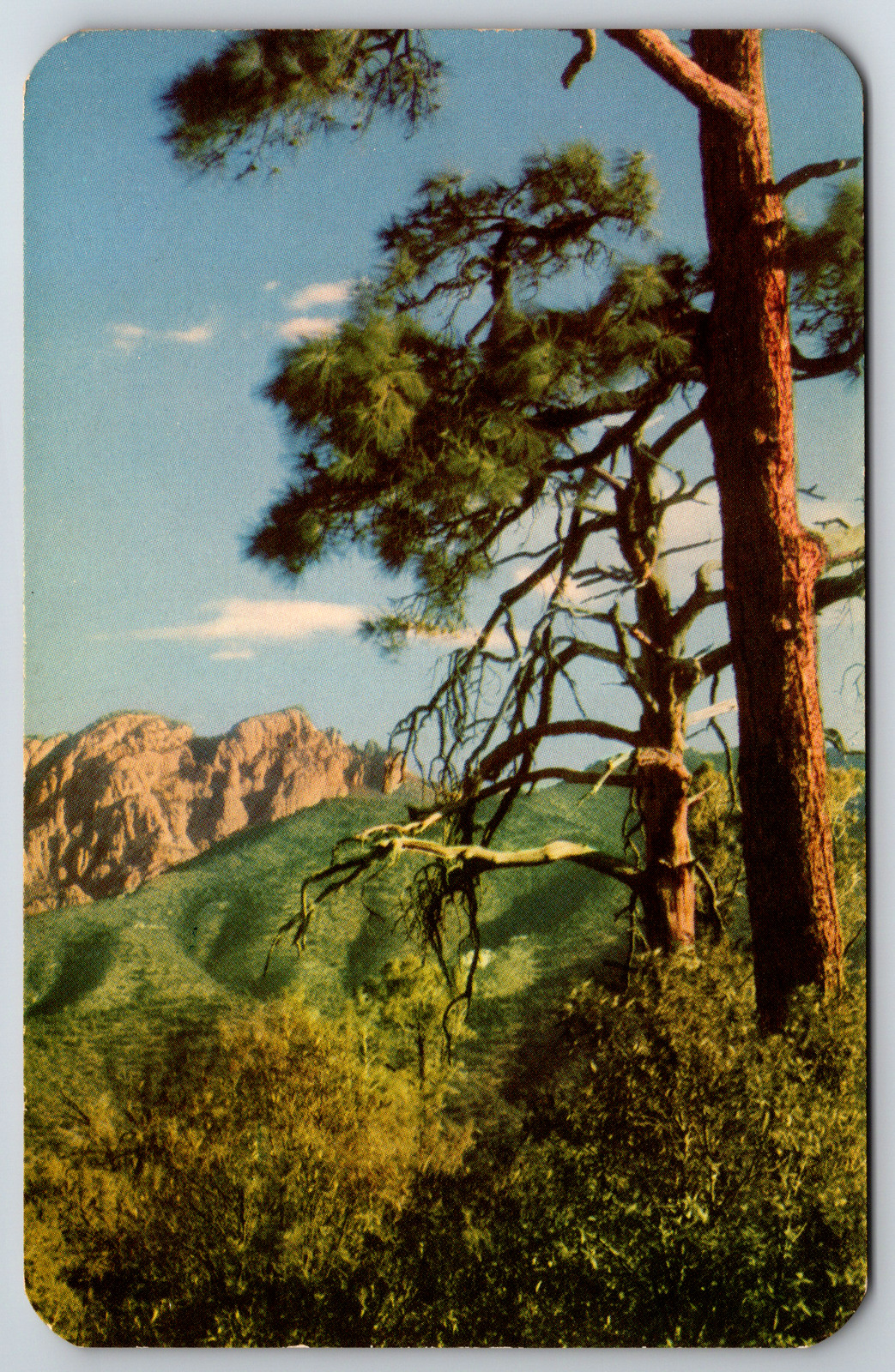 c1960s Cochise Head Rock Formation Chiricahua Monument Vintage Postcard
