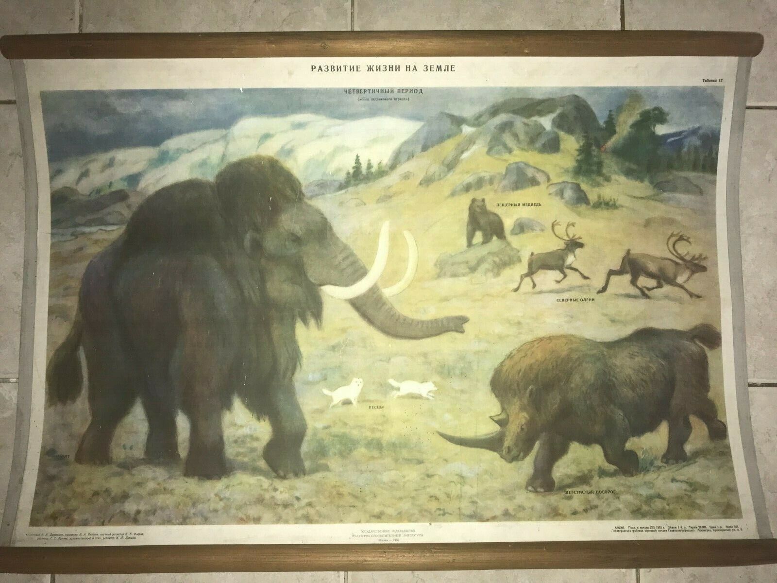 Original Russian school chart of prehistoric mammoth - 1953