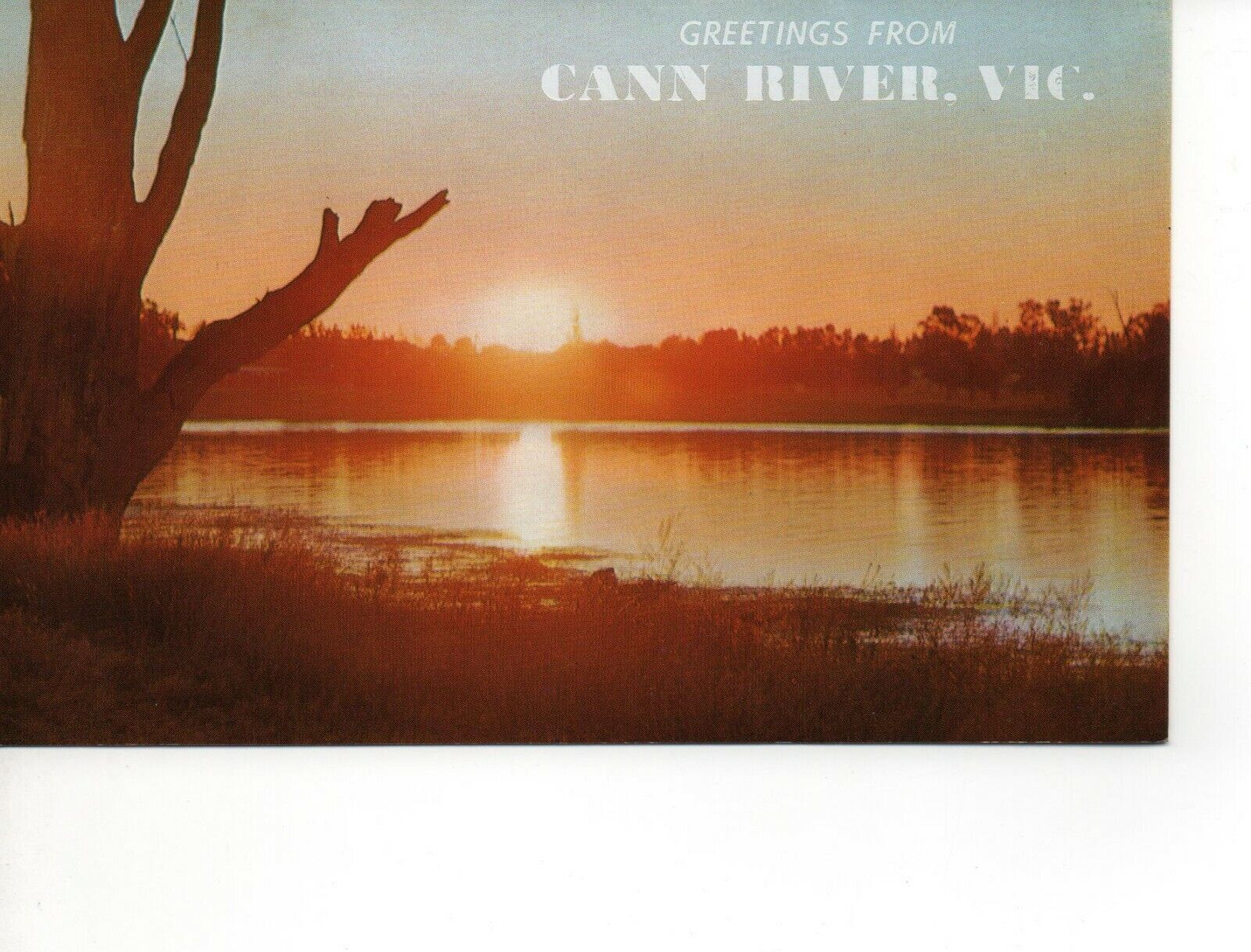 Postcard Australia Cann River Victoria Greetings F13