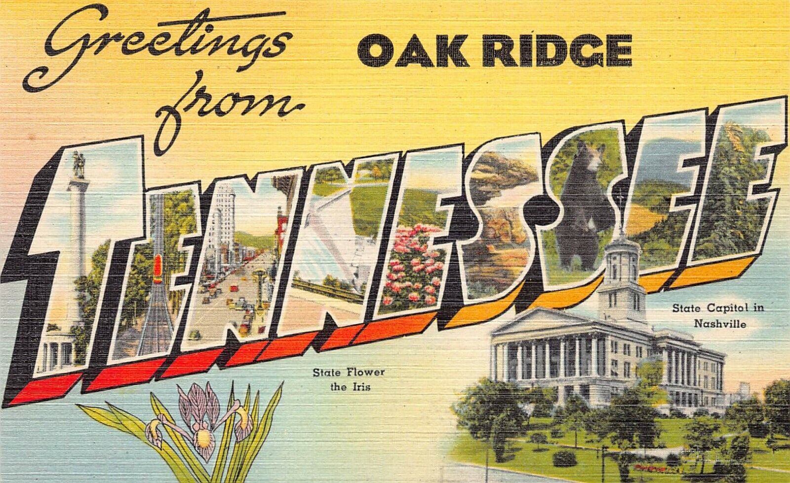 Large Letter: Greetings From Oak Ridge, TN, Early Linen Postcard, Unused