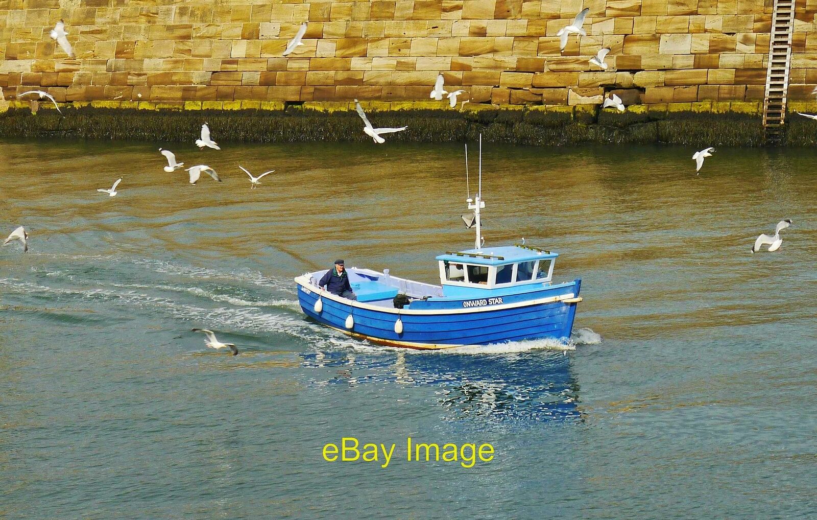Photo 12x8 Returning to the harbour Small arrival at Whitby harbour. c2014