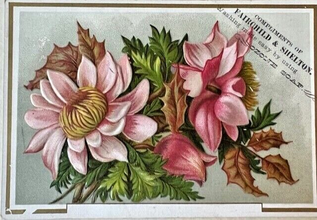 Victorian Soap Trading Cards Fairchild & Shelton Ozone Flowers Garden Early 1900